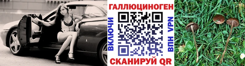 что такое наркотик  Красавино  Галлюциногенные грибы Cubensis 